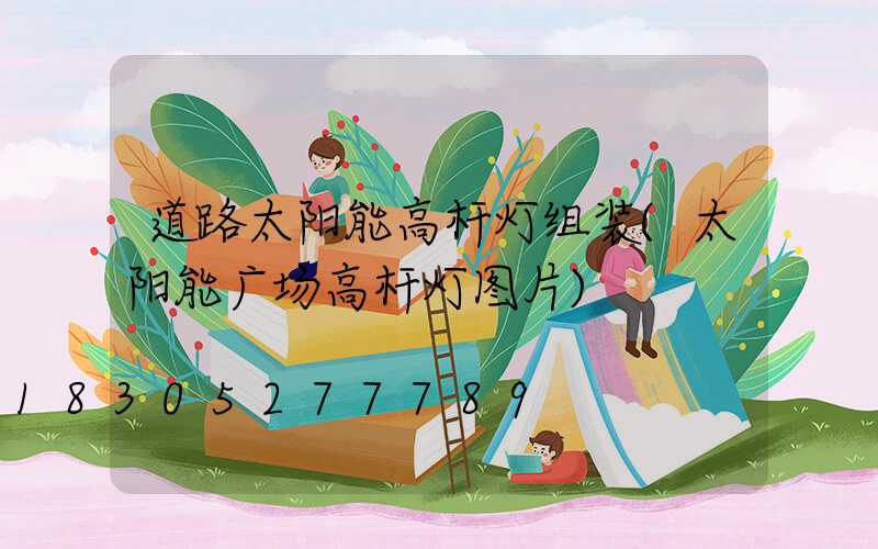 道路太阳能高杆灯组装(太阳能广场高杆灯图片)