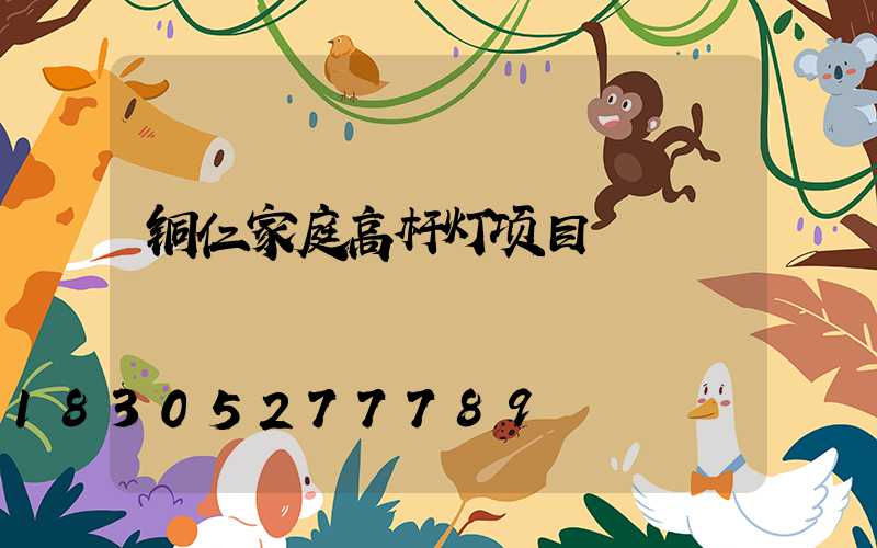 铜仁家庭高杆灯项目