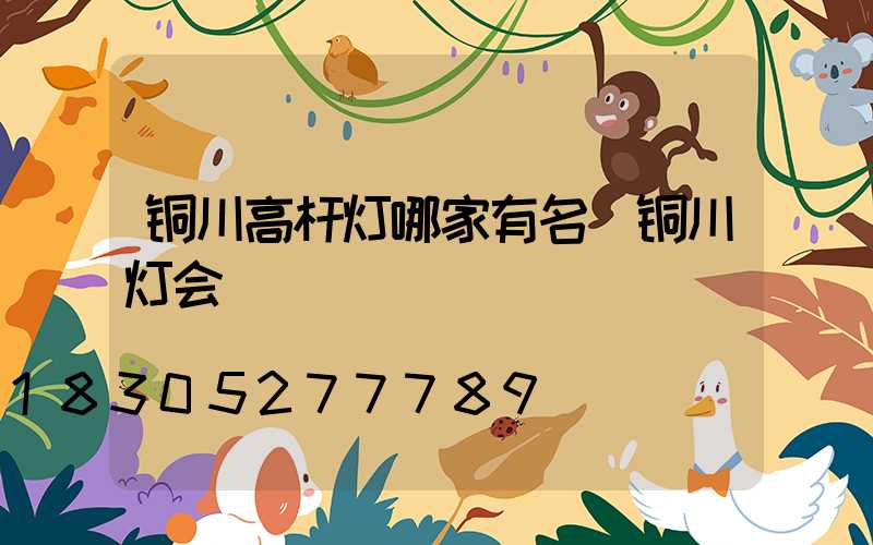 铜川高杆灯哪家有名(铜川灯会)