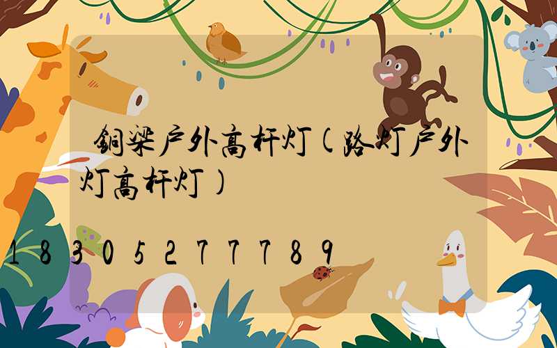铜梁户外高杆灯(路灯户外灯高杆灯)