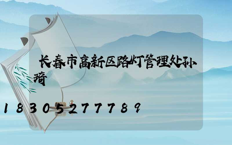 长春市高新区路灯管理处孙琦