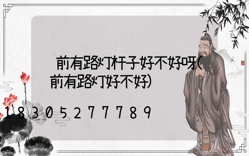 门前有路灯杆子好不好呀(门前有路灯好不好)