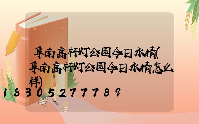 阜南高杆灯公园今日水情(阜南高杆灯公园今日水情怎么样)
