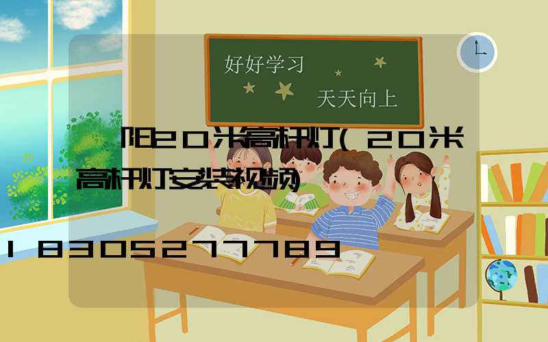 阜阳20米高杆灯(20米高杆灯安装视频)