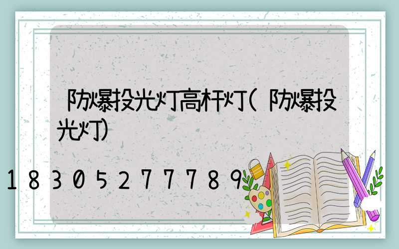 防爆投光灯高杆灯(防爆投光灯)