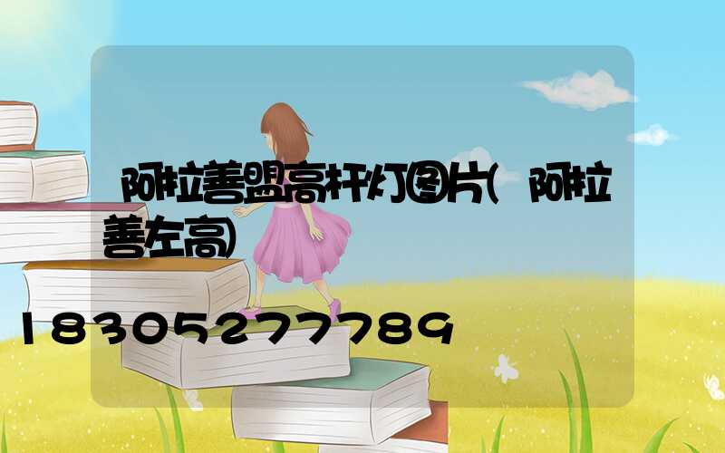 阿拉善盟高杆灯图片(阿拉善左高)