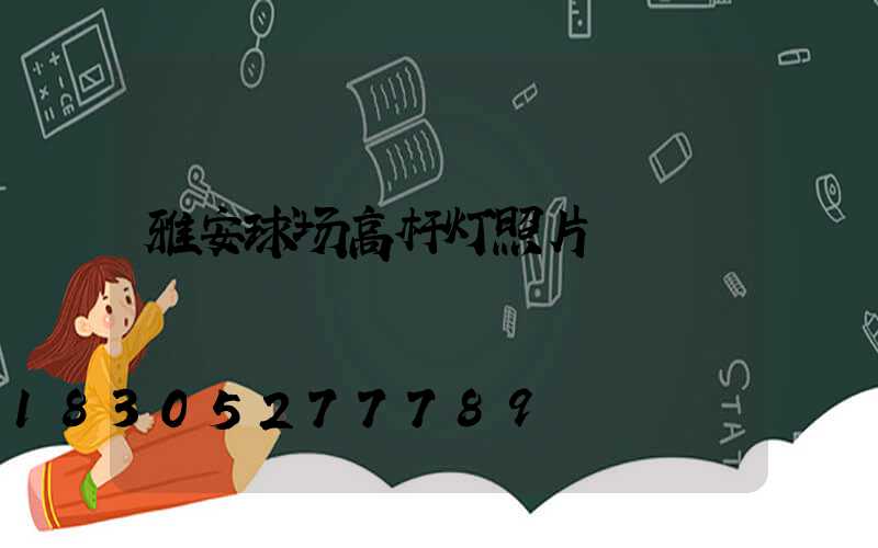 雅安球场高杆灯照片
