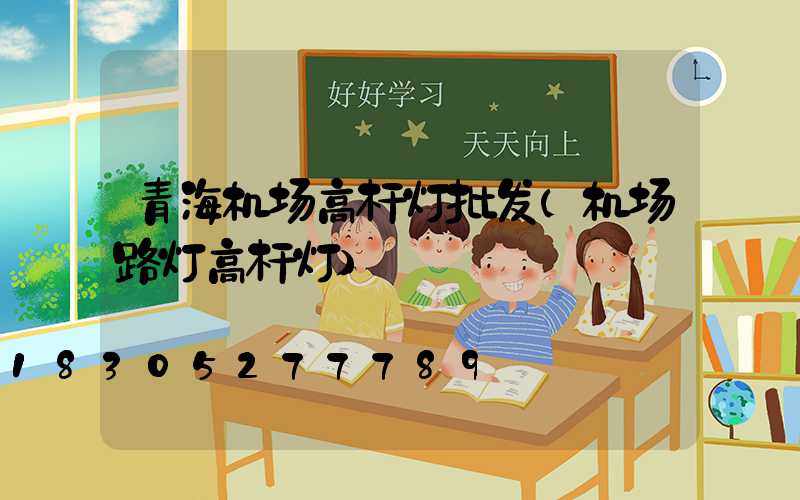 青海机场高杆灯批发(机场路灯高杆灯)