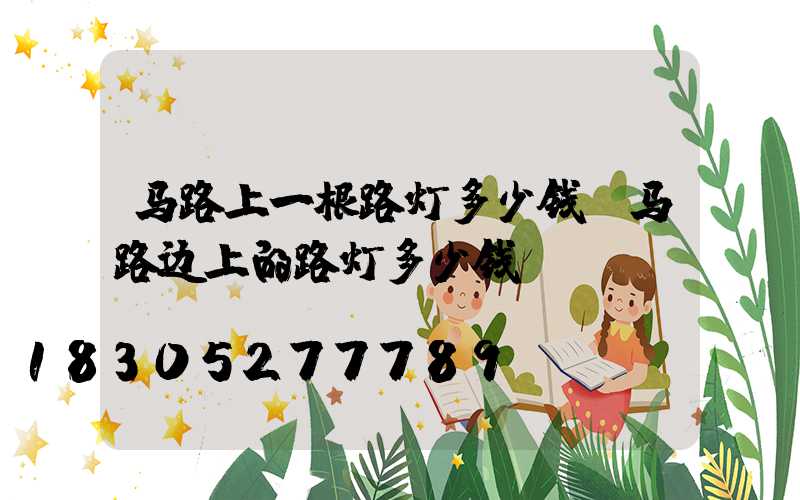 马路上一根路灯多少钱(马路边上的路灯多少钱)
