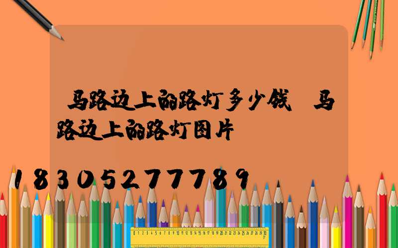 马路边上的路灯多少钱(马路边上的路灯图片)