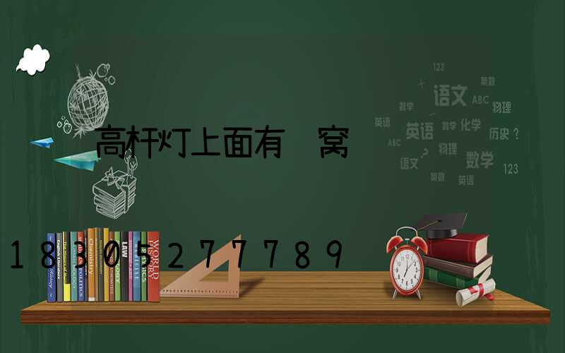 高杆灯上面有鸟窝
