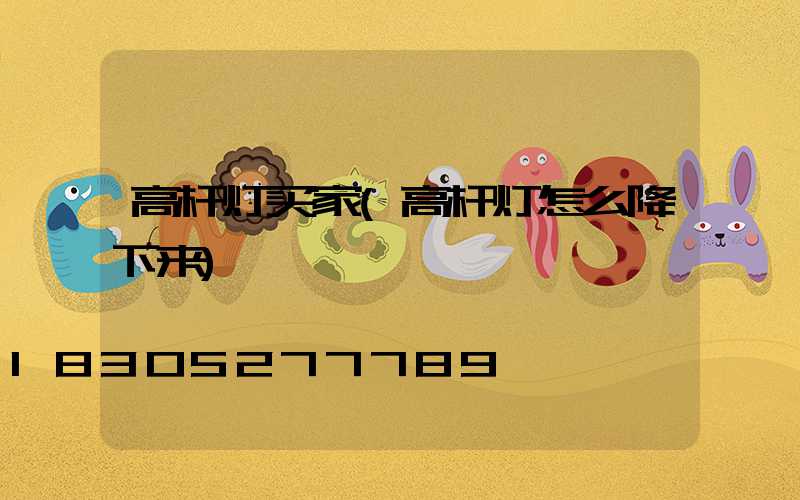 高杆灯买家(高杆灯怎么降下来)