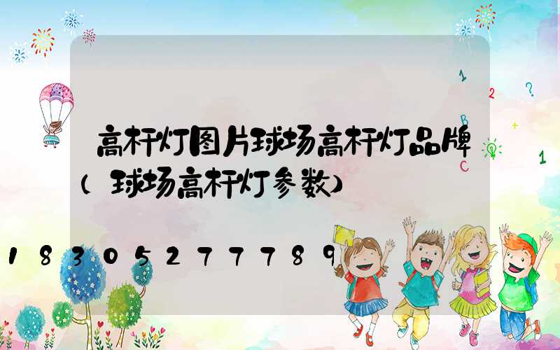 高杆灯图片球场高杆灯品牌(球场高杆灯参数)