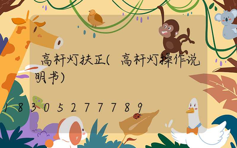 高杆灯扶正(高杆灯操作说明书)