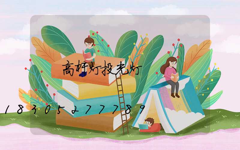 高杆灯投光灯