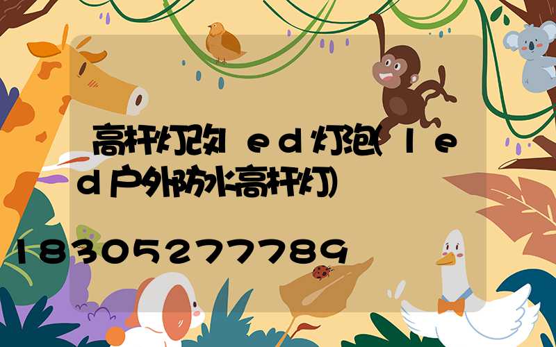 高杆灯改led灯泡(led户外防水高杆灯)