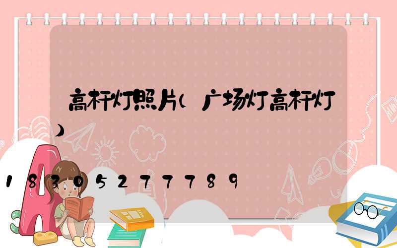 高杆灯照片(广场灯高杆灯)
