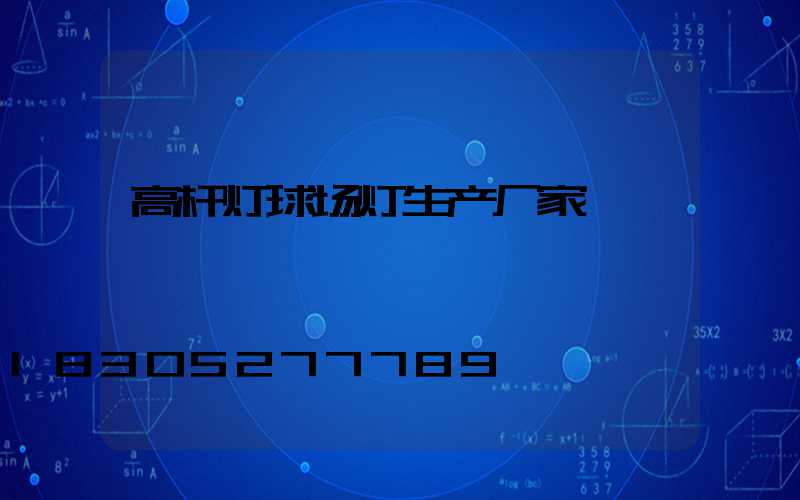 高杆灯球场灯生产厂家