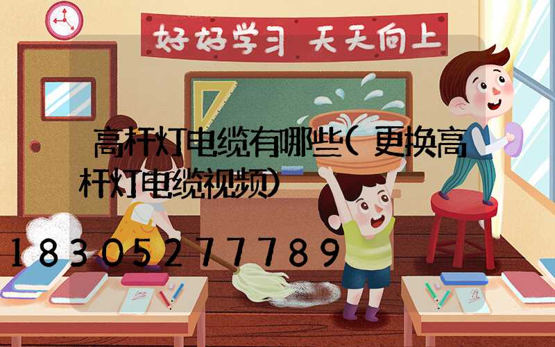 高杆灯电缆有哪些(更换高杆灯电缆视频)