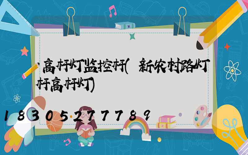 高杆灯监控杆(新农村路灯杆高杆灯)