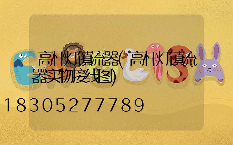 高杆灯镇流器(高杆灯镇流器实物接线图)