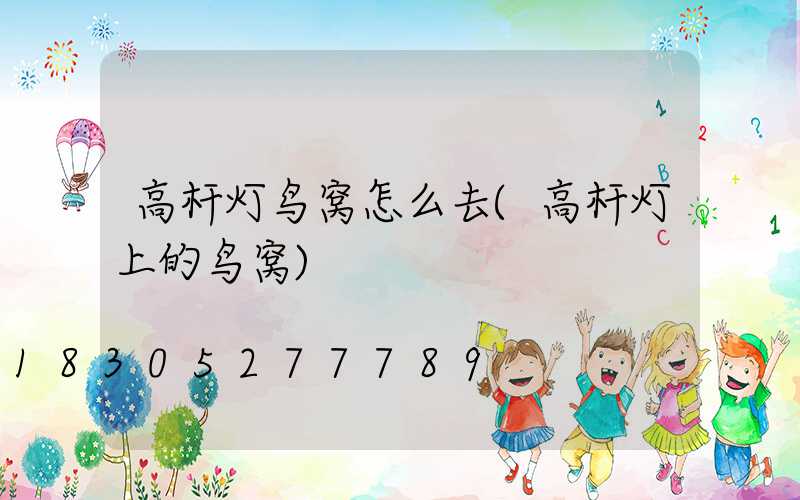 高杆灯鸟窝怎么去(高杆灯上的鸟窝)