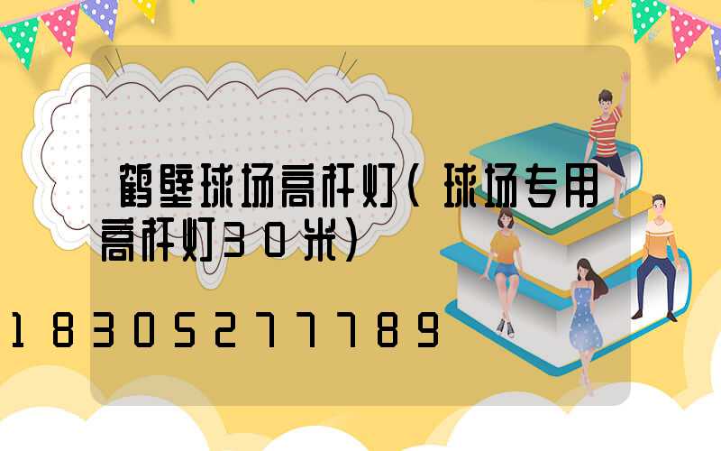 鹤壁球场高杆灯(球场专用高杆灯30米)