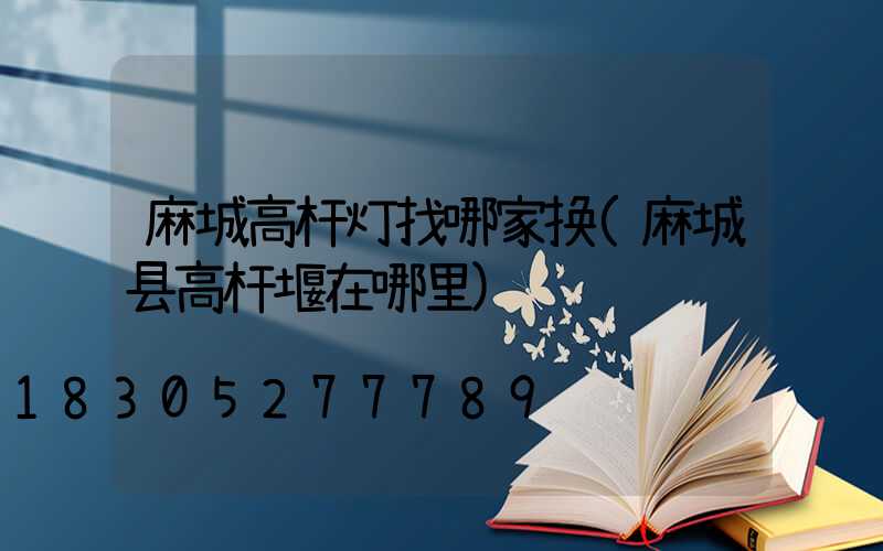 麻城高杆灯找哪家换(麻城县高杆堰在哪里)