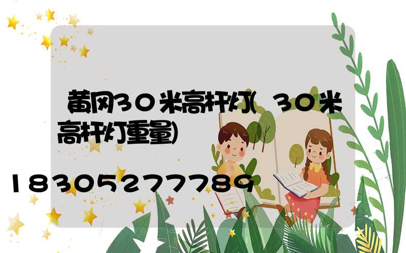 黄冈30米高杆灯(30米高杆灯重量)
