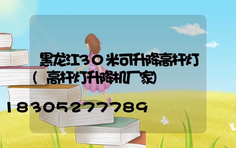 黑龙江30米可升降高杆灯(高杆灯升降机厂家)