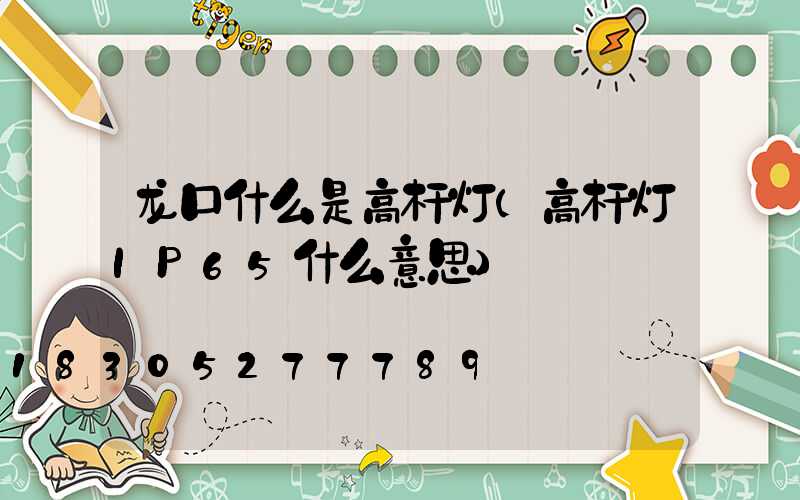 龙口什么是高杆灯(高杆灯IP65什么意思)