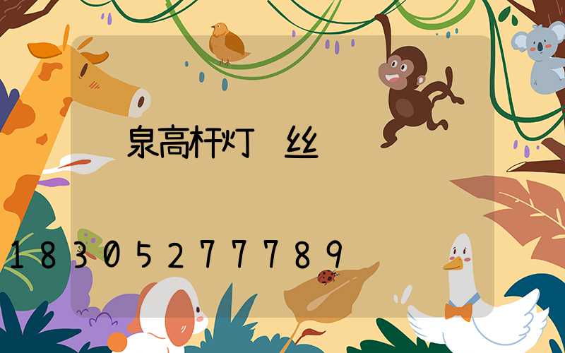 龙泉高杆灯钢丝绳