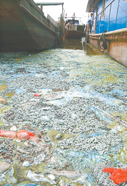 在重点涉水企业污水预处理站