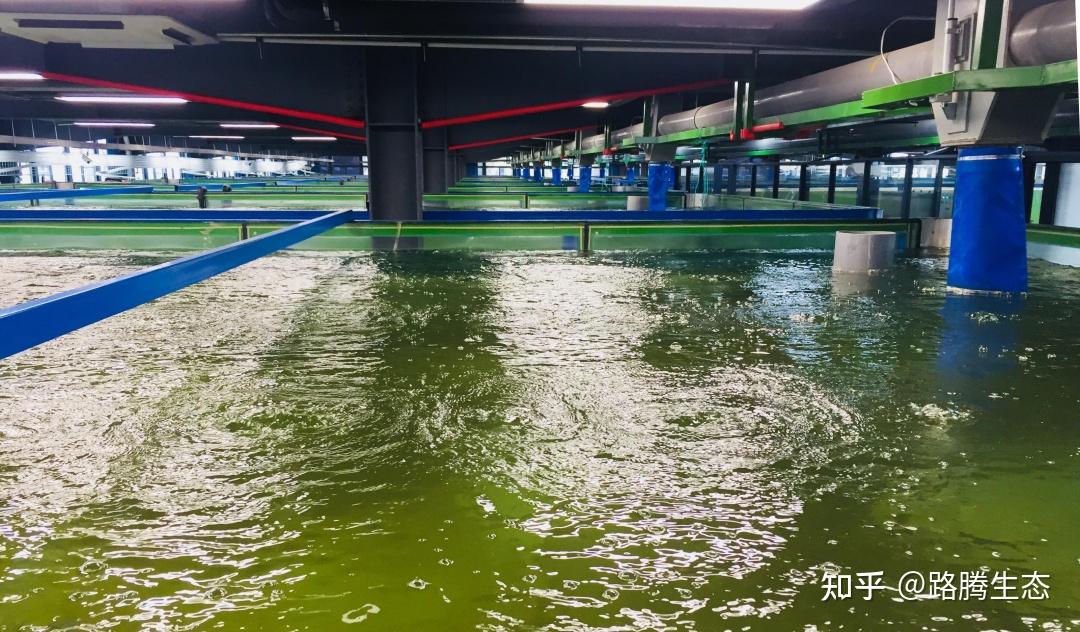 全省港口累计岸电使用量约1.92亿度