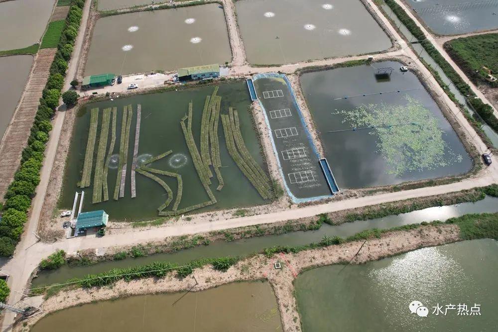 制得无碱速凝剂用硫酸铝