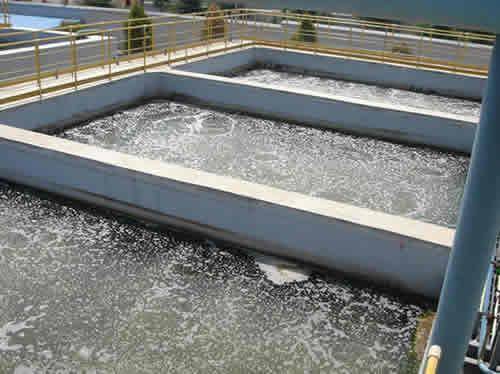 建立每日协调会机制