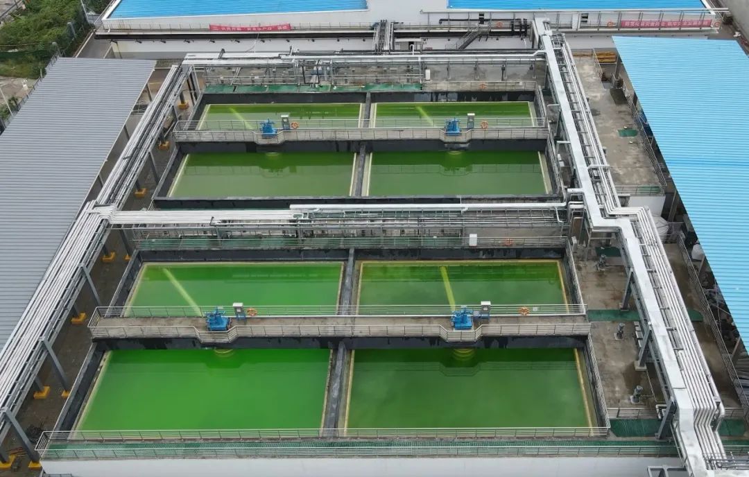 榜单排名靠自掏腰包买广告